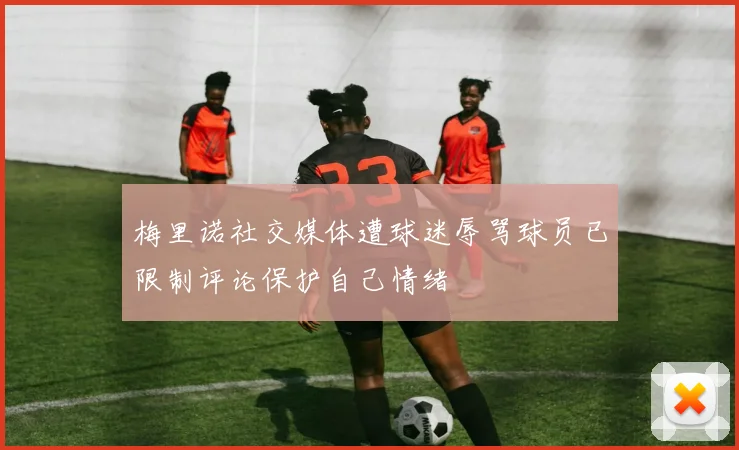 梅里诺社交媒体遭球迷辱骂球员已限制评论保护自己情绪
